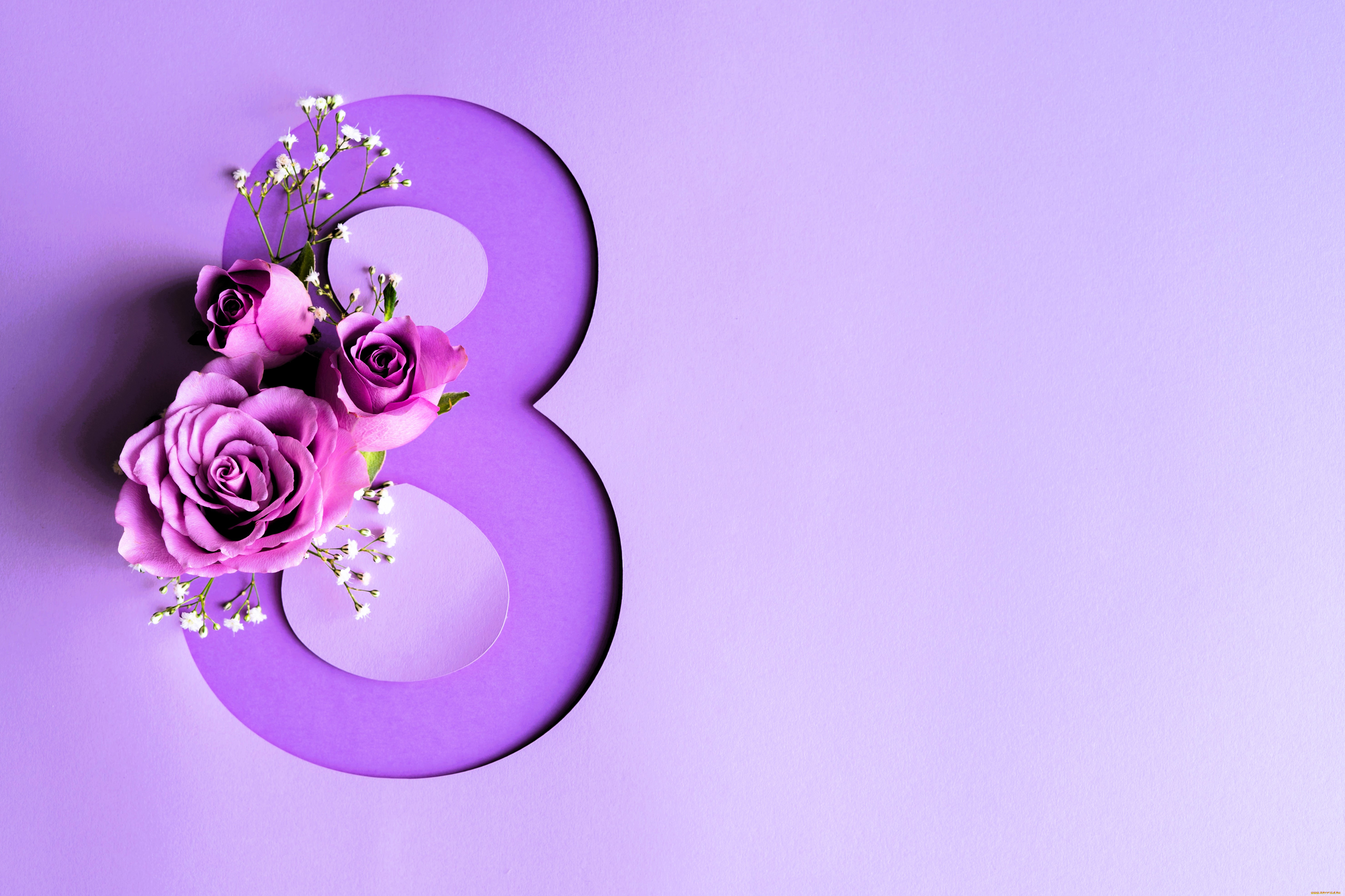 ,    - 8 , , 